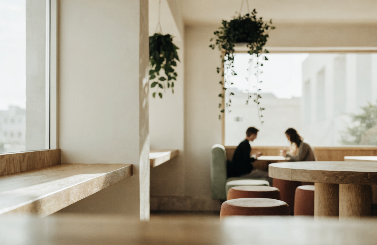 Cozy cafe interior with hanging plants, terracotta stools, and long morning light across the counter